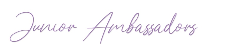 Fundraising Header image
